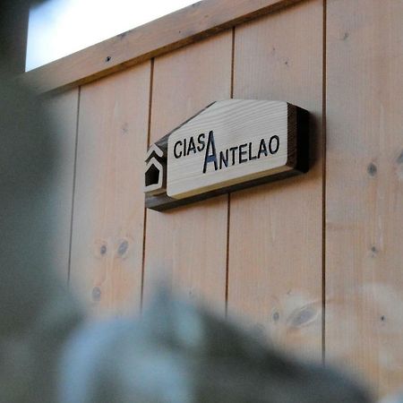 Ciasa Antelao Apartment Masarie Ngoại thất bức ảnh